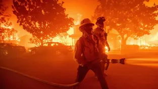 Apple'dan Los Angeles'taki yangın faciasına yardım açıklaması