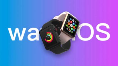 watchos-10.2-beta-3