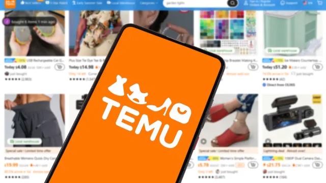 temu app and computer screen