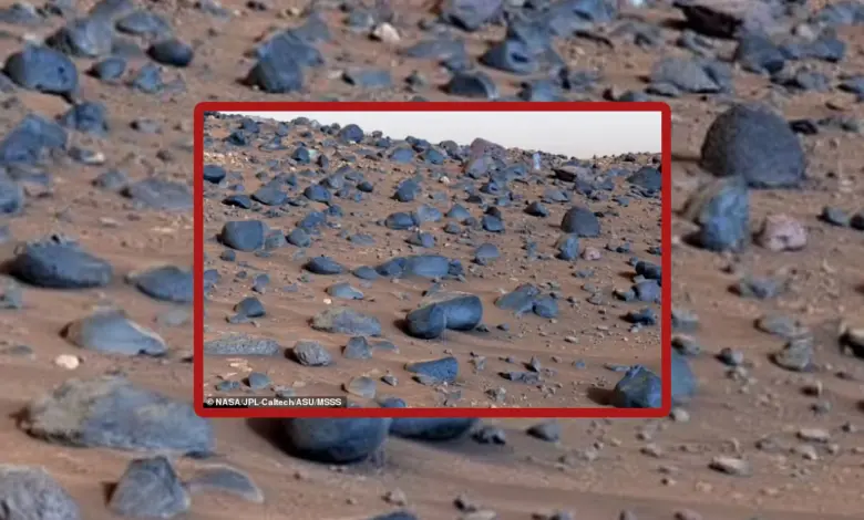 nasa mars