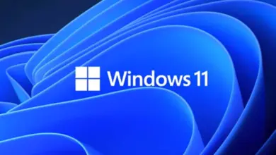 windows 11 24h2 2